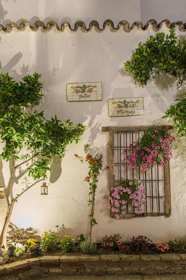 Bed and Breakfast Patio Marquez Кордова Екстер'єр фото